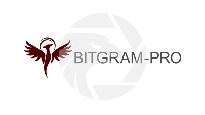 bitgram-pro