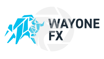  WayOne FX