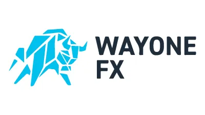 Wayone Capital