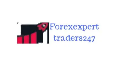 Forexexpert traders247