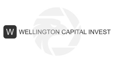 WELLINGTON CAPITAL INVEST