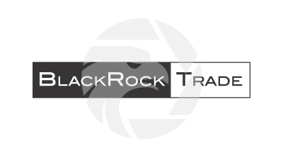 BlackRock LTD