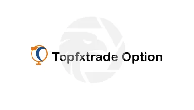 Topfxtrade Option