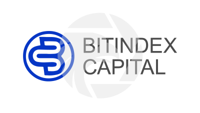 BITINDEXCAPITAL