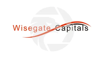 WISEGATE CAPITALS
