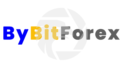  ByBitForex