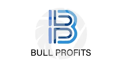 Bull Profits