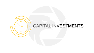 CAPITAL INVESTMENTS