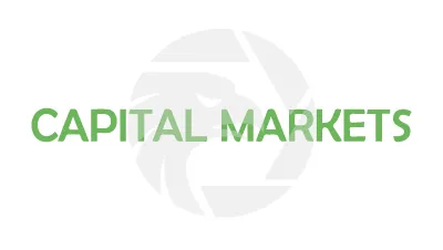 CAPITAL MARKETS