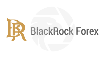 BlackRock Forex