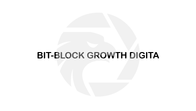 BIT-BLOCK GROWTH DIGITAL