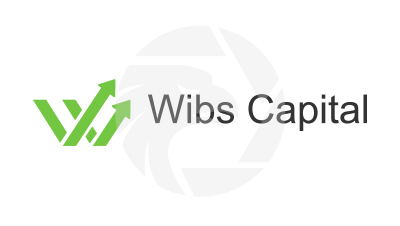  WIBS CAPITAL