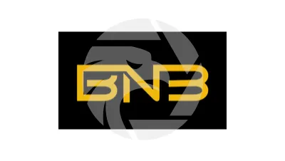 Bnb FoxTrade