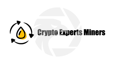 crypto experts miners