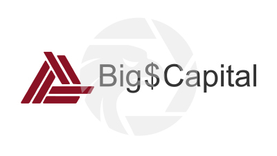 Big $ Capital