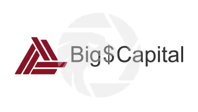 Big $ Capital
