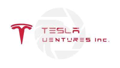 TESLA VENTURES Inc.
