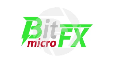 BitmicroFX