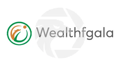 Wealth