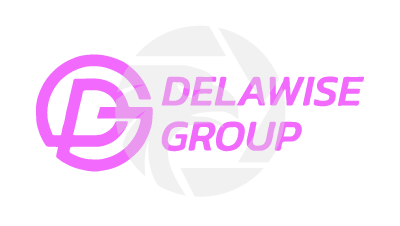 Delawise Group