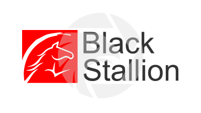 Black Stallion