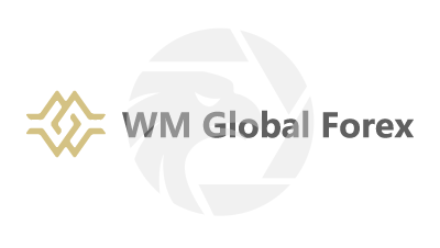 WM Global Forex