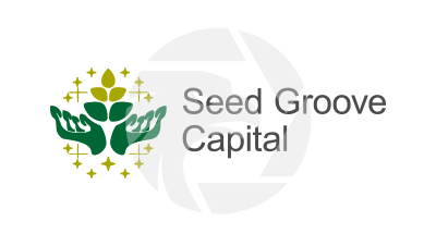 Seed Groove Capital 