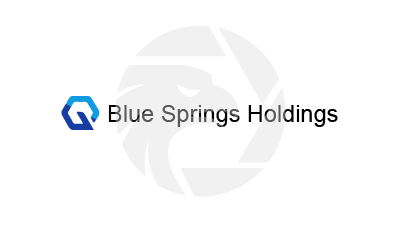 Blue Springs Holdings