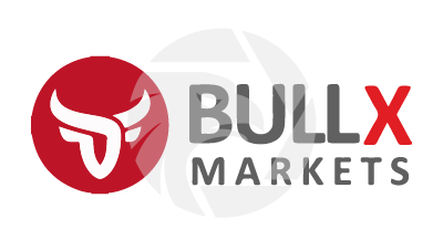 Bull X Logo