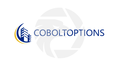 Coboltoptions