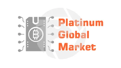 Platinum Global Market