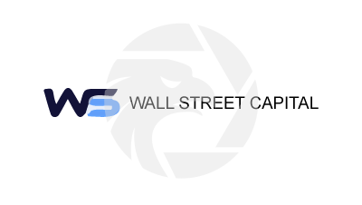 WALL STREET CAPITAL