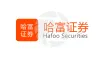 Hafoo Securities