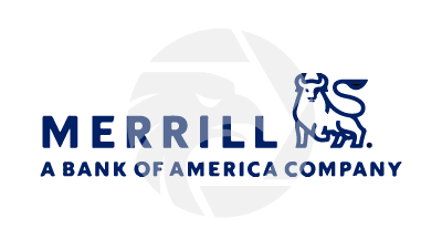 Merrill Broker