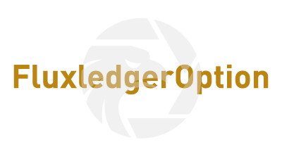 FluxledgerOption