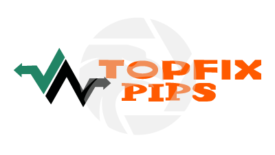 TOPFIX PIPS