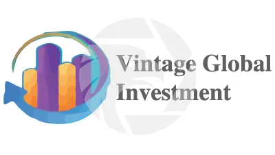 Vintage Global Investment