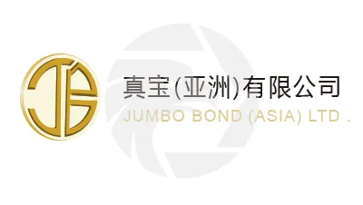Jumbo真宝金融