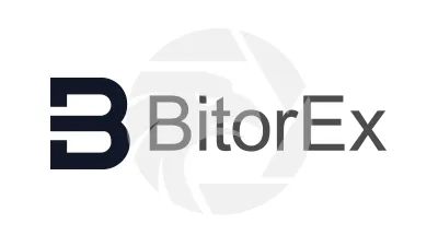 BitorEx.com