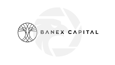 BANEX CAPITAL
