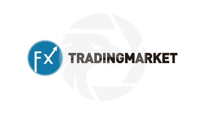 Tradingmarket.com