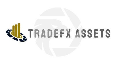 Trade Forex Assets