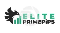Expert Profit Pro