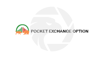 POCKET EXCHANGE OPTION