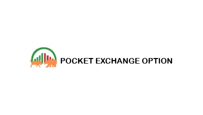 POCKET EXCHANGE OPTION