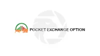 POCKET EXCHANGE OPTION