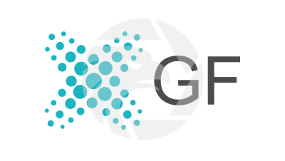 GF LIMITED