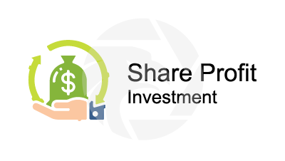 Share Profit Investment