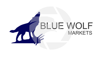 BlueWolf Markets