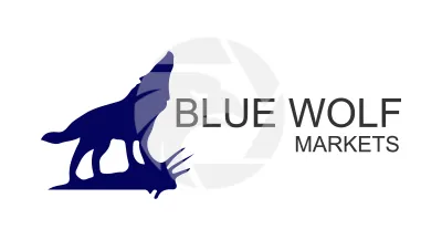 BlueWolf Markets